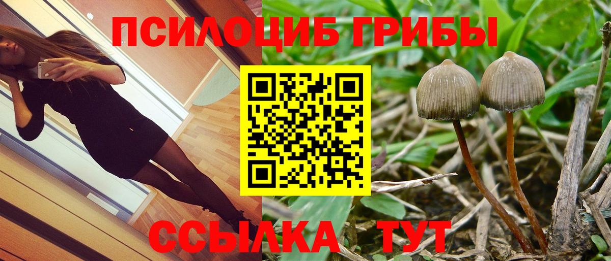 Красноуфимск  Галлюциногенные грибы Psilocybine cubensis  Вход с VPN 